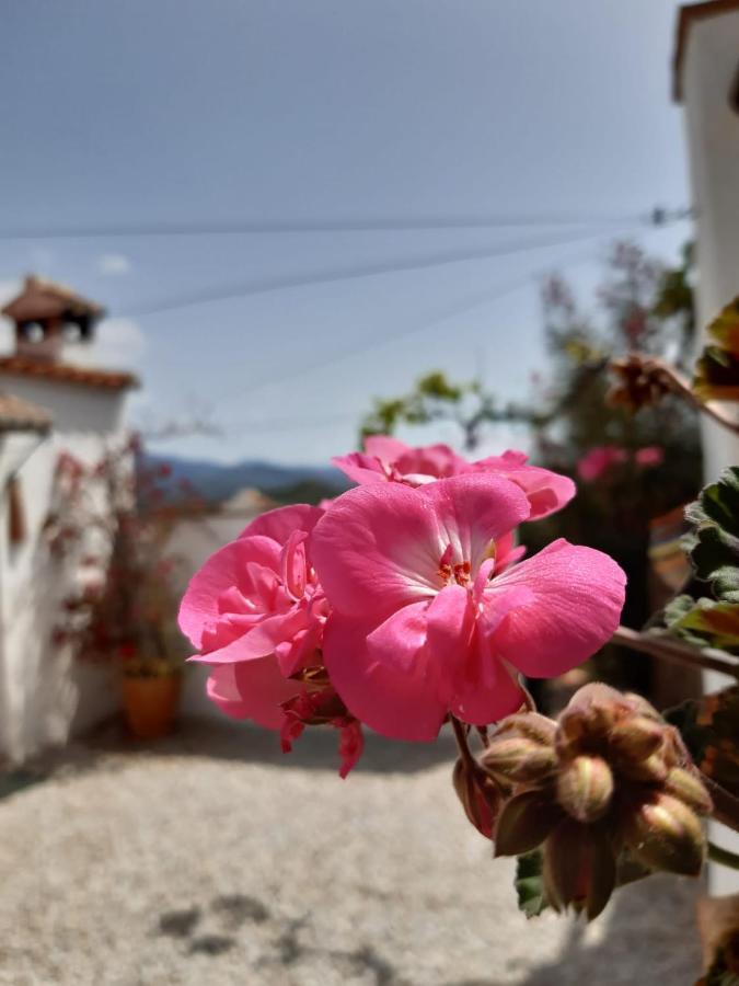 Casa Amani Viñuela Exterior foto